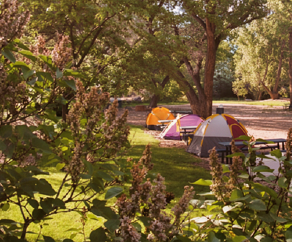 Up the Creek Campground